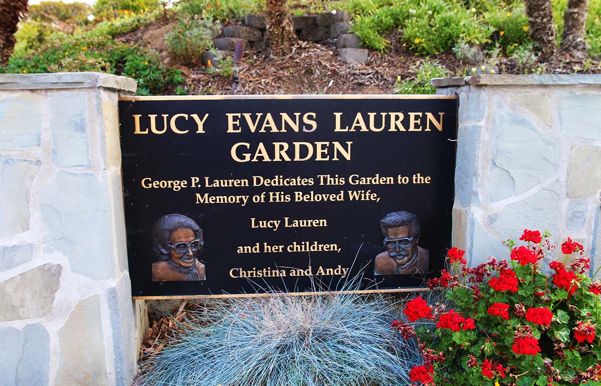 Lauren lucy Lucy &